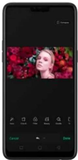 Campan Search Close 4 Filter Summary Download Canister Display