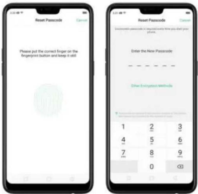 Reset Passcode Please put the correct finger on the fingerprint button and keep it still Enter the New Passcode Other Encryption Methods 1 2 3 4 5 6 7 8 9 0