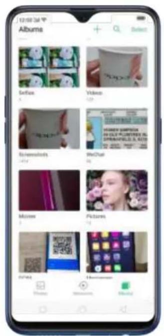 Albums Sofia Video Reelsatistics WeChat Movies Pictures