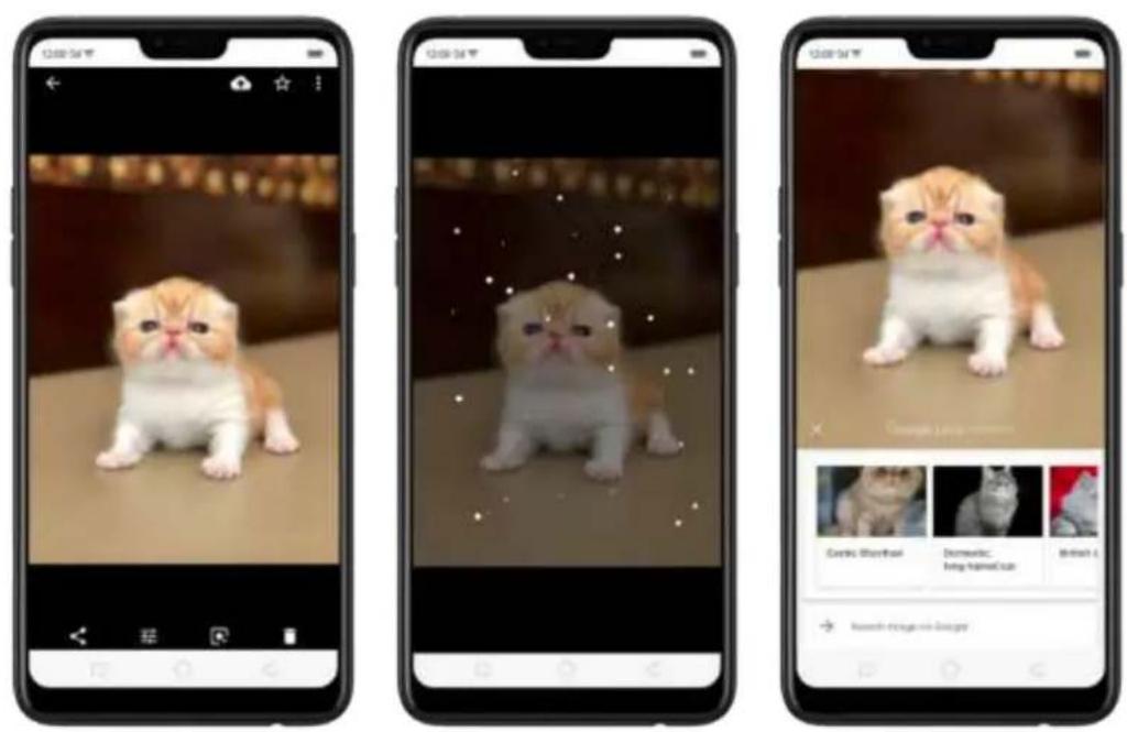 Three smartphone screenshots showing a fluffy kitten photo with Chinese text labels and user interface elements.
