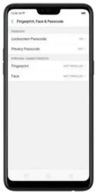Fingerprint, Face & Passcode Passcode Lockscreen Passcode 10% Privacy Passcode 100% PERSONAL CHARACTERISTICS Fingerprint 100% (1945.285) Face 100% (1945.285)