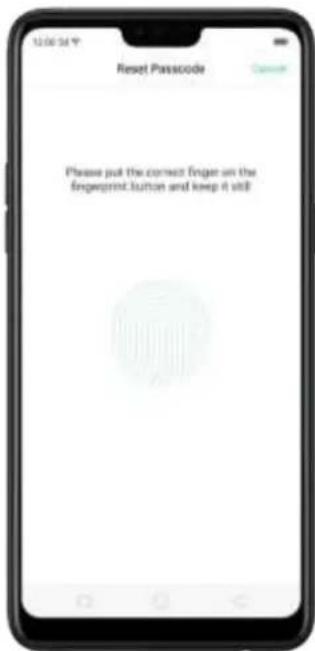 12:00:34 Reset Passcode Please put the correct finger on the fingerprint button and keep it still