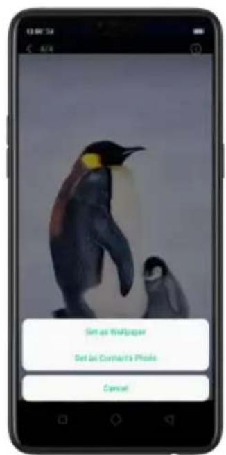 Set as Wallpaper Set as Connect's Photo Cancel