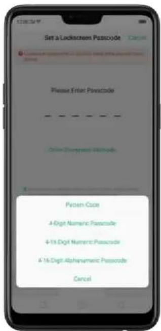 Set a Lockscreen Passcode Please Enter Passcode Protein Code 4-Digit Numeric Passcode 4-1st Digit Numeric Passcode 4-16-Digit Alpha Numeric Passcode Cancel