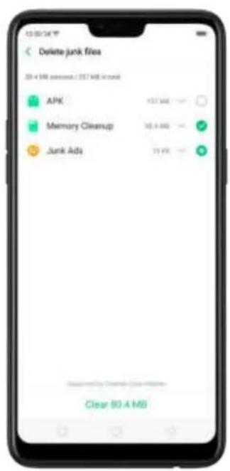 Delete junk files 20 x 100 packets / 257 MB / normal APK Memory Cleansup Junk Ads Clear 80.4 MB