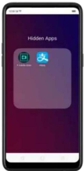Hidden Apps D 支
