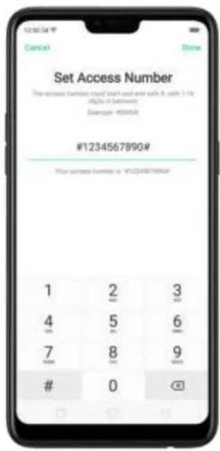 Set Access Number The access number must page and add it, only 1.1% ##s in between #1234567890# Prior access number is #1234567890#.