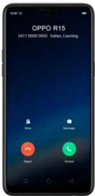 OPPO R15 0411 0000 0000 Dalian, Liaoning Main Message Report Answer