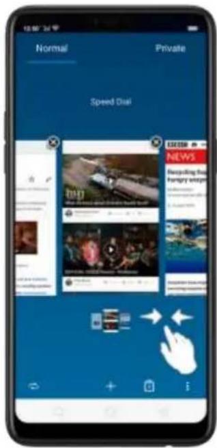 Normal Private Speed Dial ESEER NEWS Recycling the fungry within