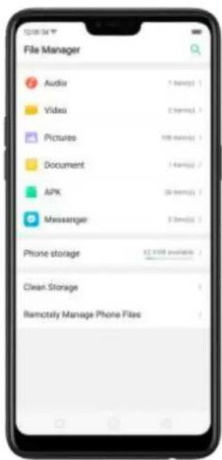 File Manager Audio Video Pictures Document APK Messenger Phone storage Clean Storage Itemotily Manage Phone Files