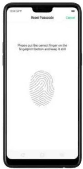 Reset Passcode Please put the correct finger on the fingerprint button and keep it still