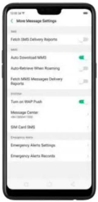 More Message Settings SMS Fetch SMS Delivery Reports SMS Auto Download MMS Auto-Relieve When Roaming Fetch MMS Messages Delivery Reports Turn on WAP Push Message Center v6413856417000 SIM Card SMS Emergency Alerts Emergency Alerts Settings Emergency Alerts Records