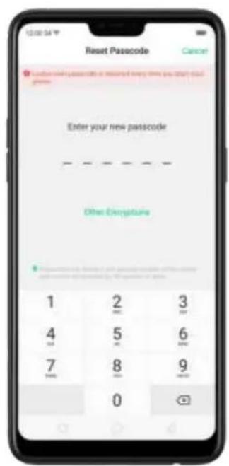 Reset Passcode Enter your new passcode Other Encryptains 1 2 3 4 5 6 7 8 9 0