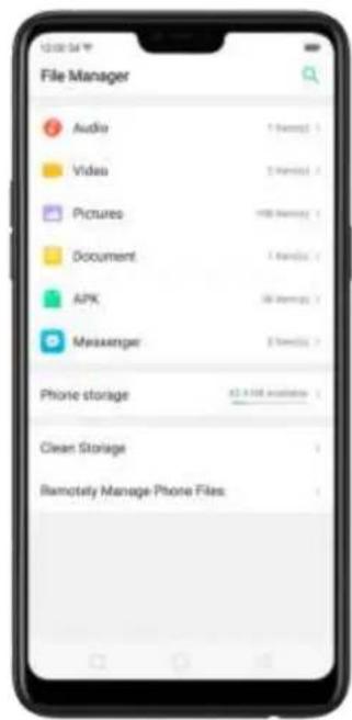 File Manager Audio Video Pictures Document APK Messenger Phone storage Clean Storage Remotely Manage Phone Files
