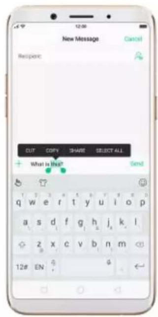 OPPO F5 Youth - Edit text - 1