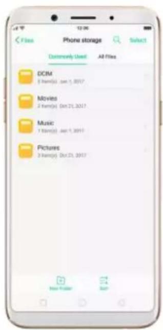 OPPO F5 Youth - File classification - 2