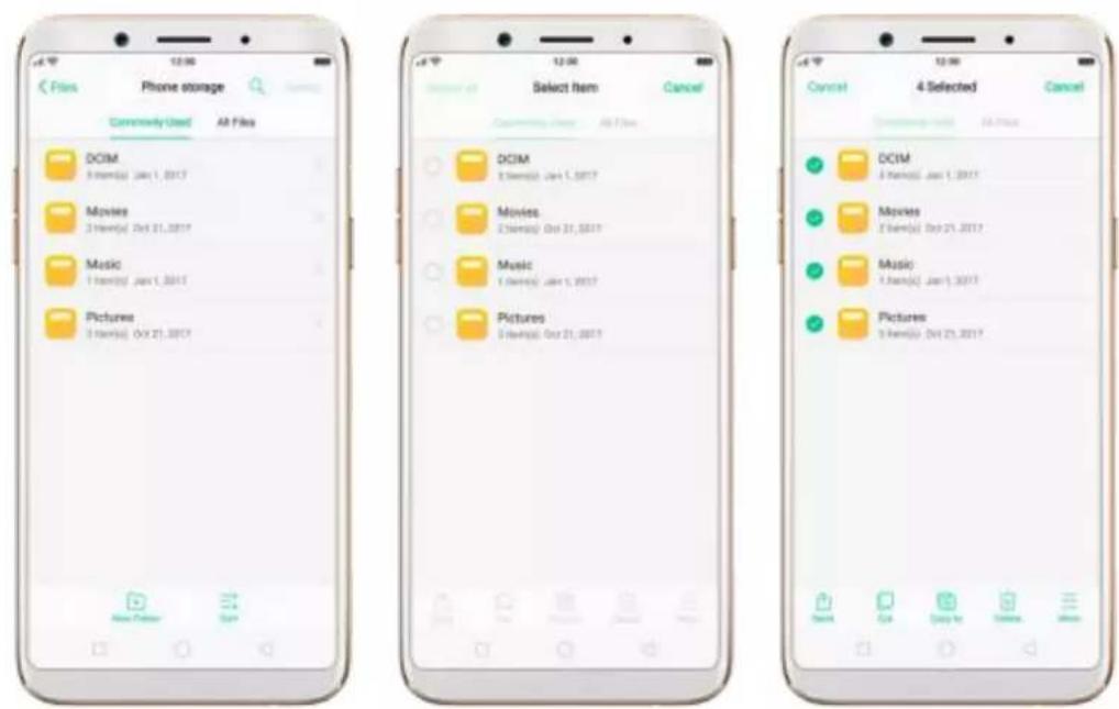 OPPO F5 Youth - File classification - 4