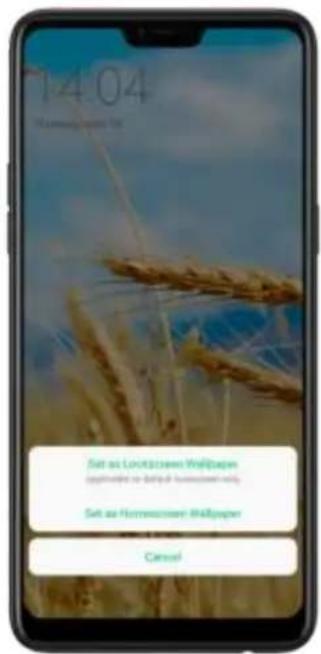 OPPO F7 Youth - Online wallpaper - 3