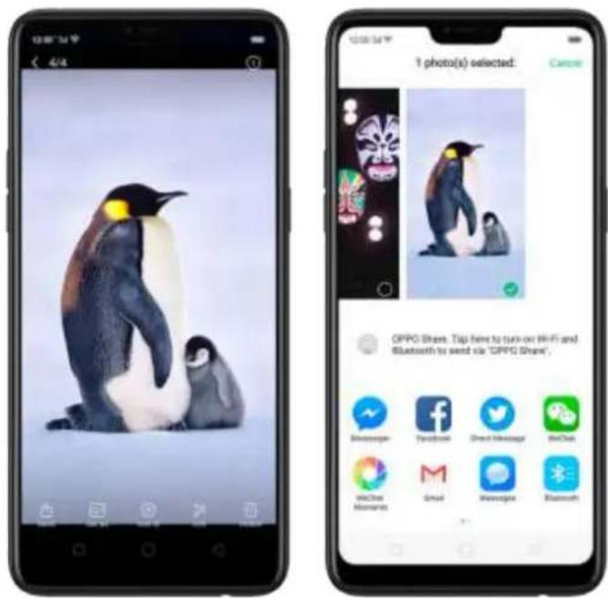 OPPO F7 Youth - Share from apps - 1