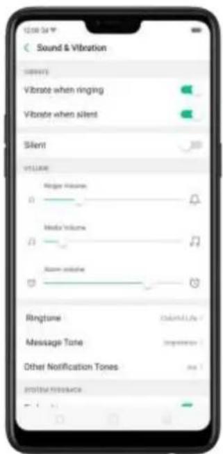 OPPO F7 Youth - Sound, Vibration, and System Feedback - 2