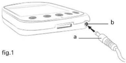 a b fig.1