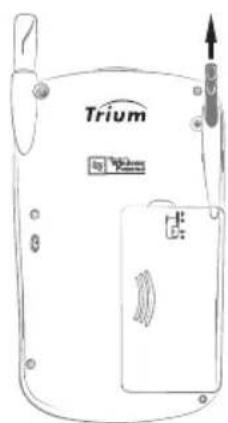 Trium bg: Vizem