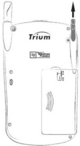 Trium Windows Proteus