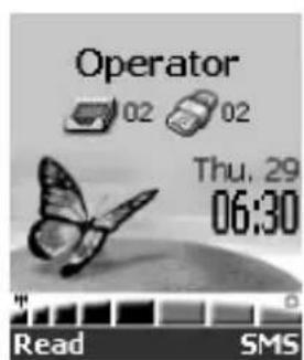 Operator 02 02 Thu, 29 06:30 Read SMS