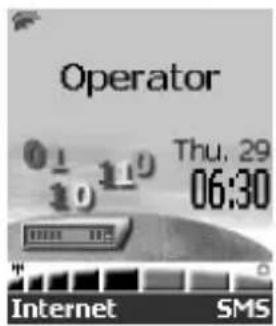 Operator Thu, 29 06:30 Internet SMS