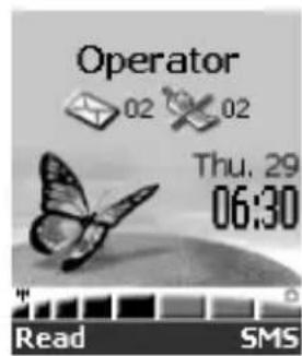 Operator 02 02 Thu. 29 06:30 Read SMS