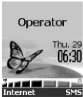 Operator Thu. 29 06:30 Internet SMS