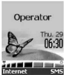Operator Thu. 29 06:30 Internet SMS