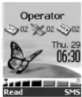 Operator 02 02 02 Thu. 29 06:30 Read SMS