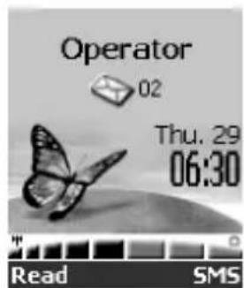 Operator 02 Thu. 29 06:30 Read SMS