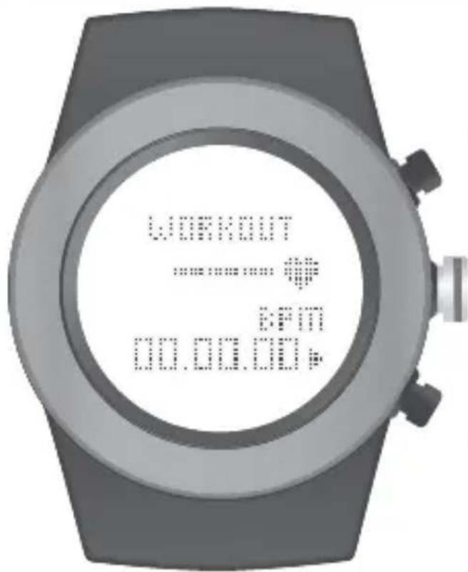 WORKOUT 00:00:00 S BPM