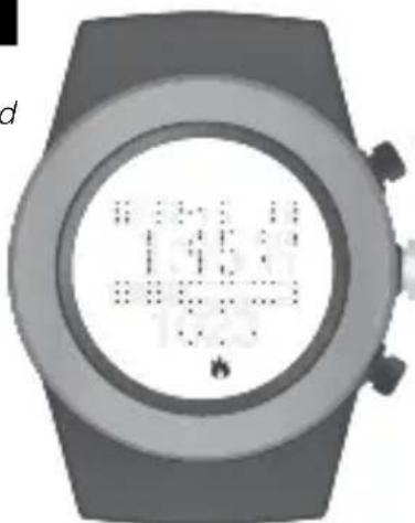 LifeTrak Zone R420 - SETTING TIME - 1