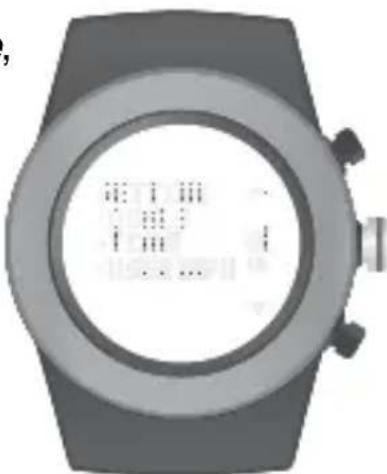 LifeTrak Zone R420 - SETTING USER INFO - 2