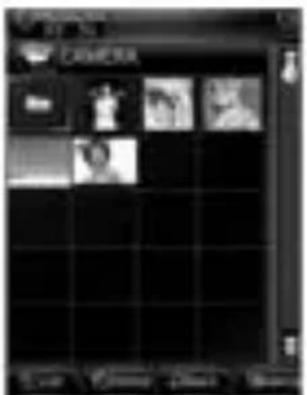 Screenshot of a software interface with Chinese text labels and a grid of image thumbnails