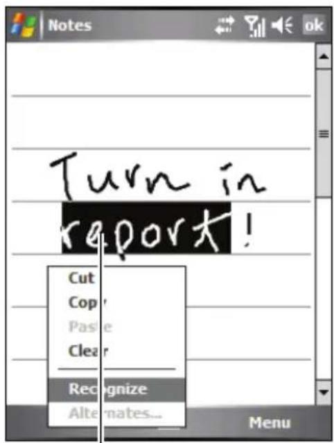 Turn in report! Cut Copy Paste Clear Recognize Alternates... Menu
