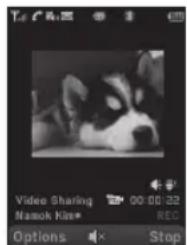 PANTECH P2000 - Using video share - 2