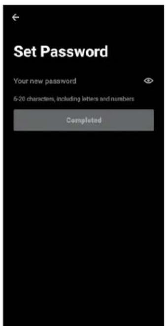 Set Password Your new password 6-20 characters, including letters and numbers Completed