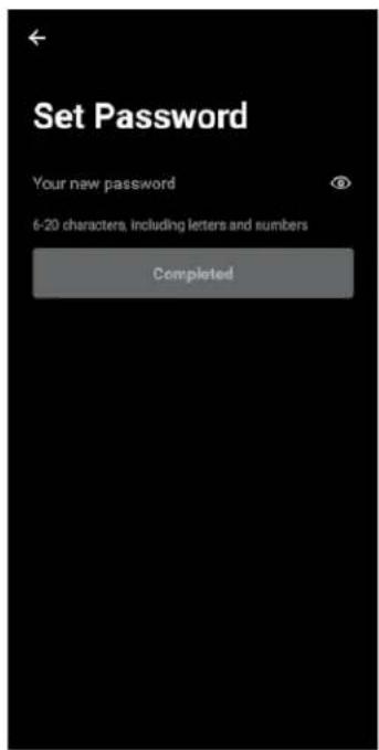 Set Password Your new password 6-20 characters, including letters and numbers Completed