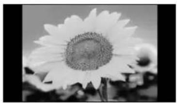 EPSON PowerLite Cinema 550 - Choosing the Aspect Ratio - 2