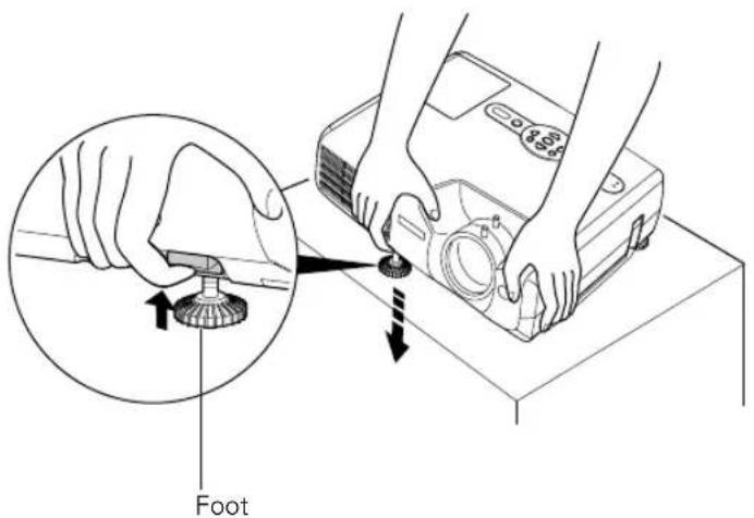 Foot