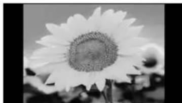 EPSON PowerLite Pro Cinema 9100 - Choosing the Aspect Ratio - 2