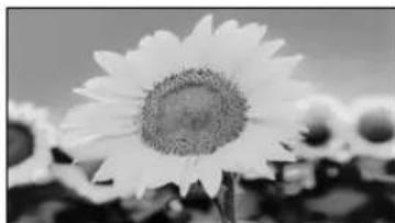 EPSON PowerLite Pro Cinema 9100 - Choosing the Aspect Ratio - 3