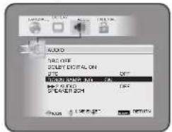 AUDIO TARE OFF SINGLE DIGITAL ON OFF STRAWING WORK OFF STRAWING WORK