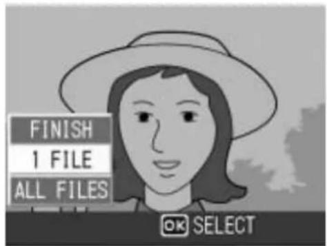 FINISH 1 FILE ALL FILES OK SELECT