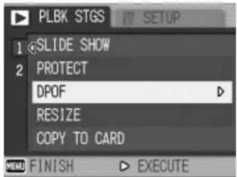 PLBK STGS 1 SLIDE SHOW 2 PROTECT DPOF RESIZE COPY TO CARD MENU FINISH ▶ EXECUTE