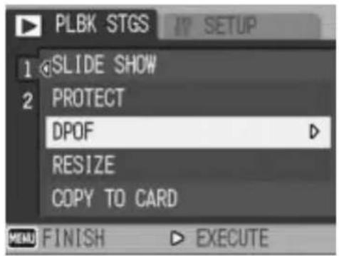 PLBK STGS 1 SLIDE SHOW 2 PROTECT DPOF RESIZE COPY TO CARD MENU FINISH ▶ EXECUTE